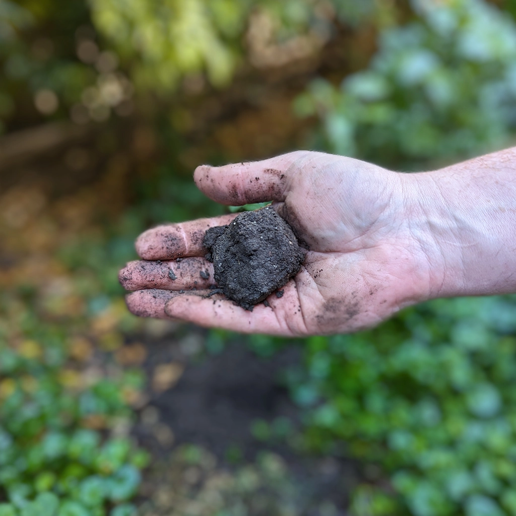 How to perform the ‘Squeeze Test’